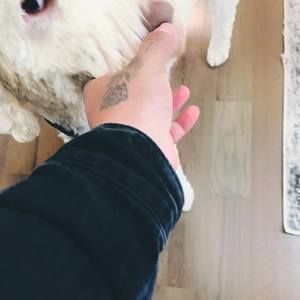 Meet your Posher, Alexander